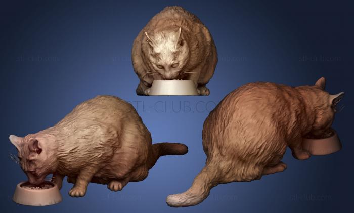 3D модель Кошка ест корм 12 (STL)